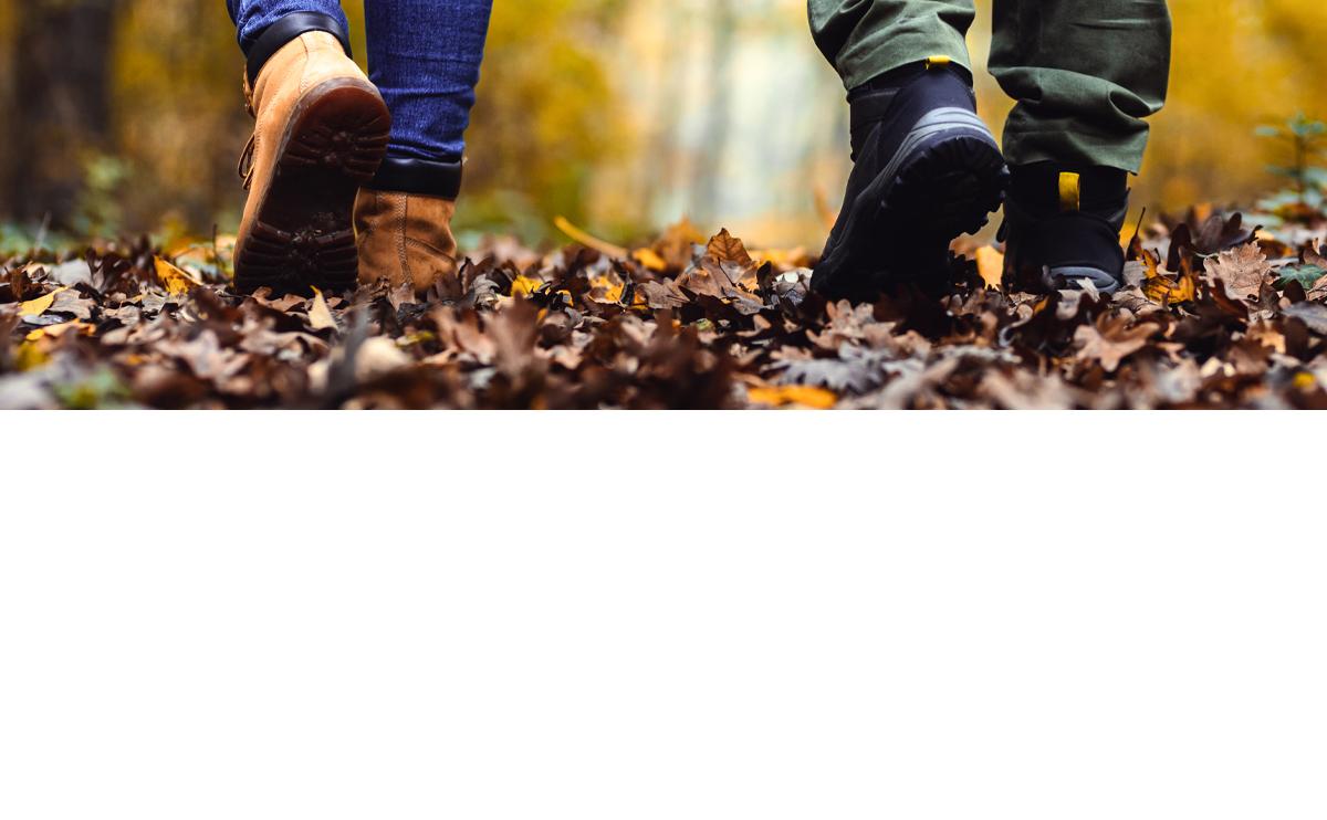 Wandelschoenen in het bos