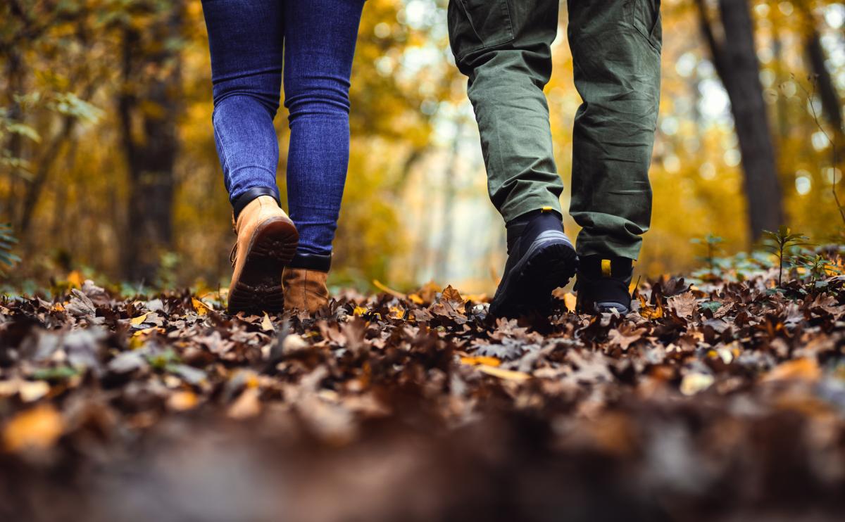 Wandelende mensen in het bos